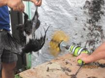 Obrázek k výrobku 125896 - Škubačka drůbeže na vrtačku JOSAS JO24