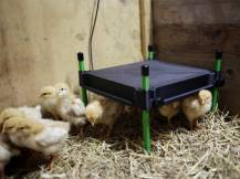 Obrázek k výrobku 125959 - Umělá kvočna s termostatem KERBL 70420 COSYHEAT, 30x30cm, 25W