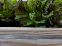 Obrázek k výrobku 125969 - Vodivá páska k ohradníku KERBL 291128 SNAILSTOP, 10m