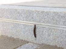 Obrázek k výrobku 125970 - Vodivá páska k ohradníku KERBL 291129 SNAILSTOP, 20m