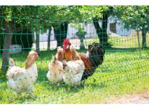 Obrázek k výrobku 125971 - Vodivá síť pro drůbež KERBL 292272, 106 cm x 50 m / 2 hroty