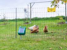 Obrázek k výrobku 125974 - Vodivá síť pro drůbež KERBL 292413 PREMIUM, 122 cm x 50 m / 2 hroty