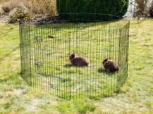 Obrázek k výrobku 125994 - Výběh pro drůbež, králíky a štěňata osmistěnný KERBL 81715, 57x78 cm