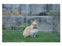 Obrázek k výrobku 125999 - Výběh pro králíky, hlodavce a drůbež KERBL 70345, 220x103x103 cm